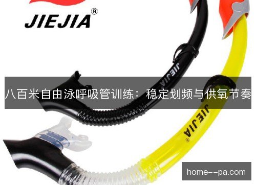 八百米自由泳呼吸管训练:稳定划频与供氧节奏 八百米自由泳呼吸管训练:稳定划频与供氧节奏